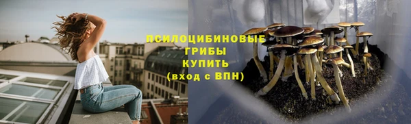 МДПВ Вязники