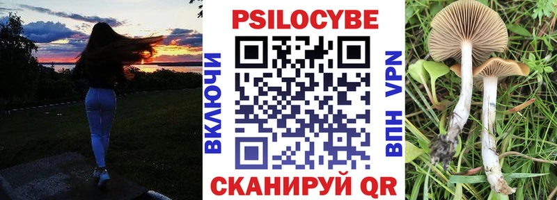 Галлюциногенные грибы Psilocybe  Владимир 